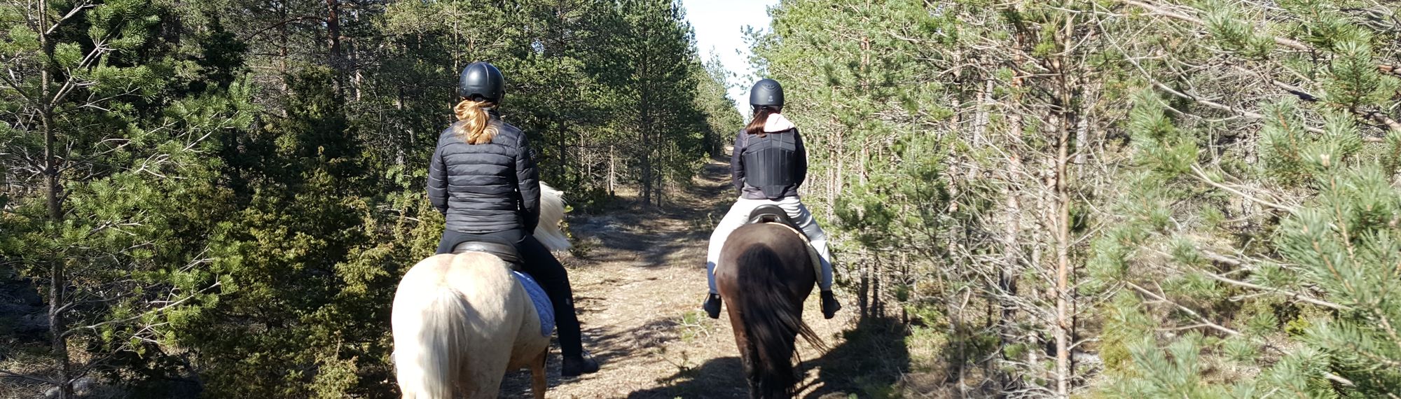 skritt på skogsväg