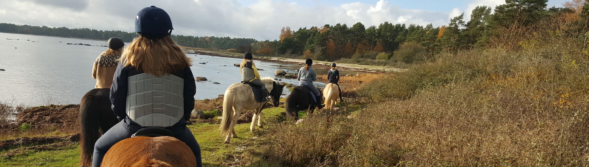 ridning på stranden
