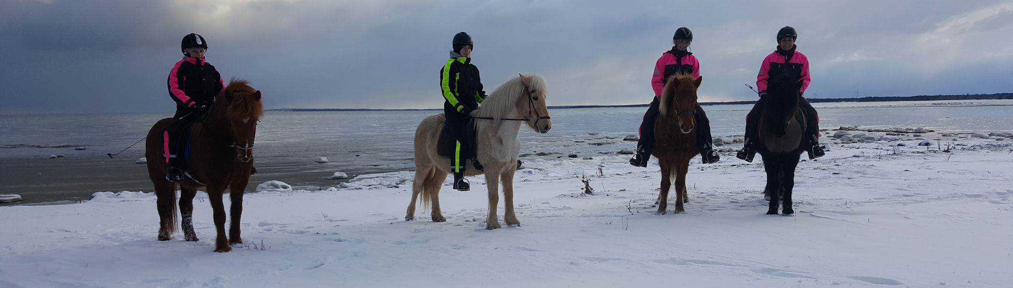 hästar uppställda på vintern