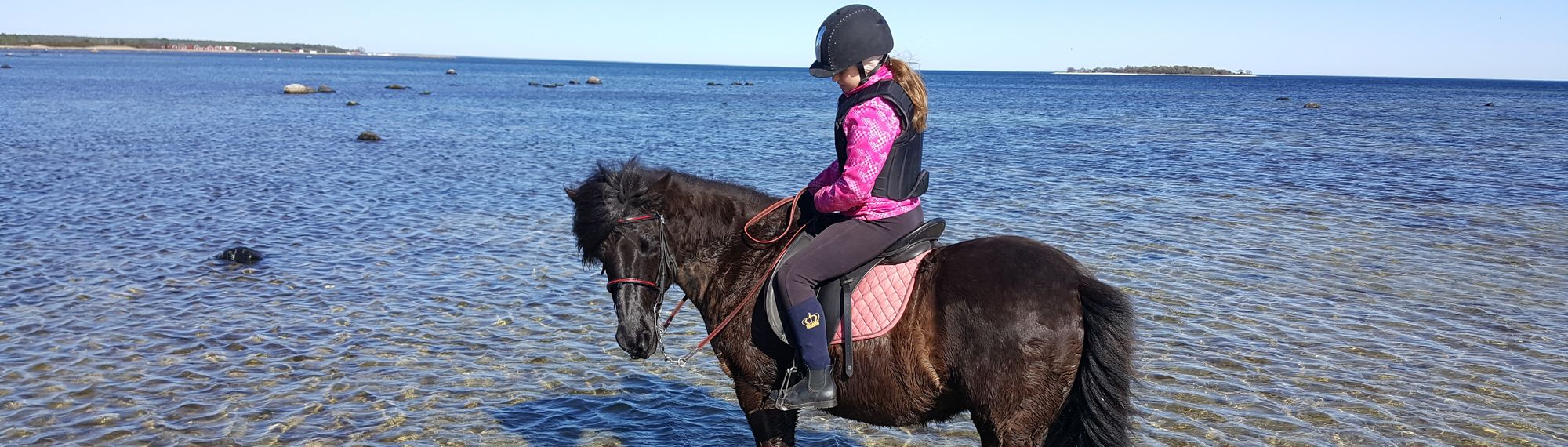 häst med ryttare ute i vattnet